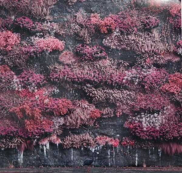 SLEEP TOKEN - EVEN IN ARCADIA (2025) - 2LP METALLIC GOLD COLOURED EDITION ALTERNATIVE METAL SIFIR PLAK