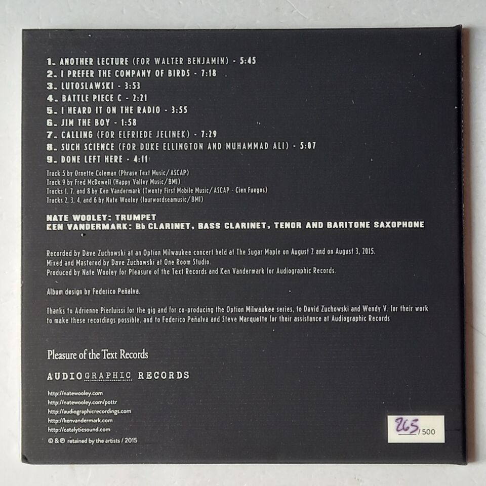 NATE WOOLEY, KEN VANDERMARK – ALL DIRECTIONS HOME (2015) - CD DIGIPAK 2.EL