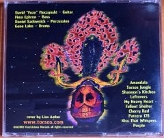 DAVID FIUCZYNSKI'S HEADLESS TORSOS - AMANDALA (2001) - CD FUZELICIOUS MORSELS 2.EL