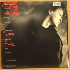 PAUL JANZ - ELECTRICITY 1987 2.EL PLAK POP ROCK