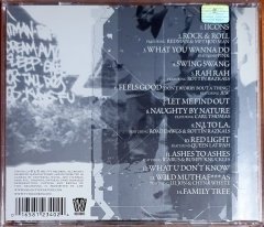 NAUGHTY BY NATURE - IICONS (2002) - CD TVT RECORDS 2.EL
