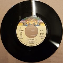 FLASHDANCE SOUNDTRACK - JOE ESPOSITO ''LADY LADY LADY'' / SHANDI ''HE'S A DREAM'' (1983) - 7'' 45 DEVİR 2.EL PLAK