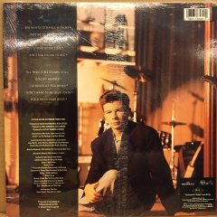 RICK ASTLEY - HOLD ME IN YOUR ARMS (1988) - 2.EL PLAK