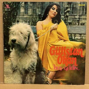 GÜLİSTAN OKAN - HOŞ GELDİN (1981) - LP 2.EL PLAK