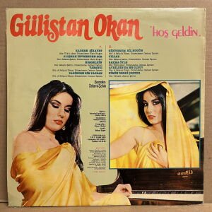 GÜLİSTAN OKAN - HOŞ GELDİN (1981) - LP 2.EL PLAK