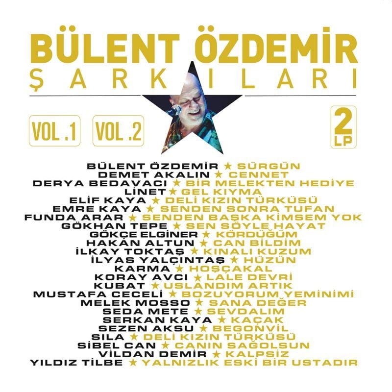 BÜLENT ÖZDEMİR ŞARKILARI - VOL 1 & VOL 2 / SEZEN AKSU MELEK MOSSO HAKAN ALTUN DEMET AKALIN (2025) - 2LP SIFIR PLAK