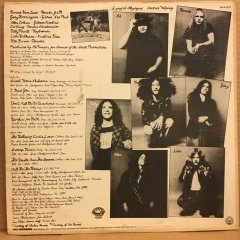 LYNYRD SKYNYRD - SECOND HELPING 1974 2.EL PLAK