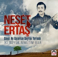NEŞET ERTAŞ - GÖNÜL NE GEZERSİN SEYRAN YERİNDE / İKİBÜYÜK NİMETİM VAR - LP 2020 BASIM SIFIR PLAK