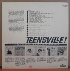 TEENSVILLE - BOBBY VEE, THE FLEETWOODS, THE VENTURES... - LP 2.EL PLAK