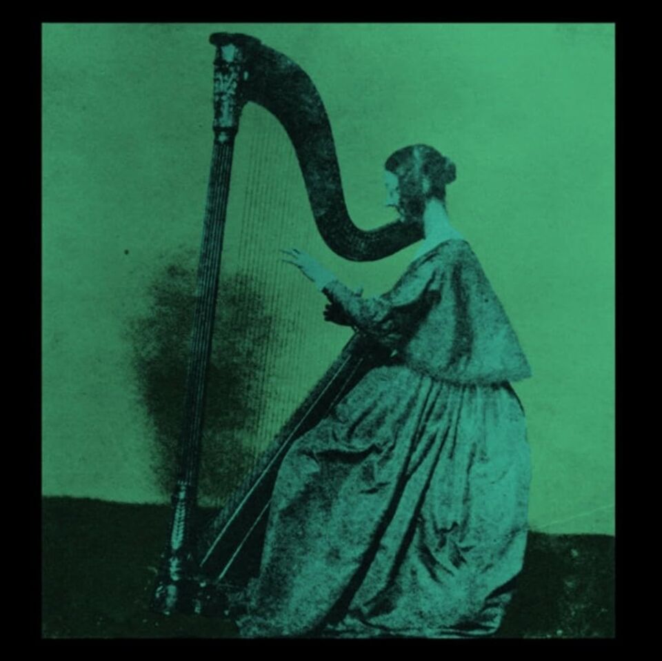 TV GIRL - GRAPES UPON THE WINE (2023) - LP INDIE POP SIFIR PLAK