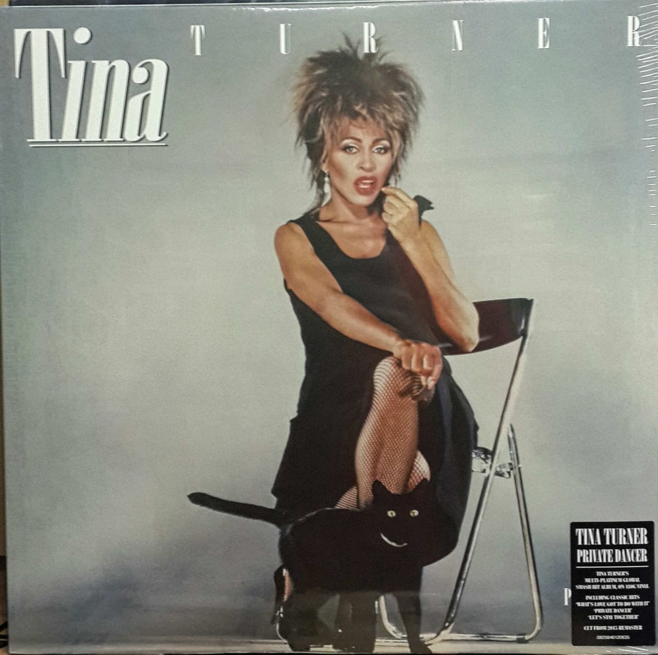 TINA TURNER - PRIVATE DANCER LP SIFIR 180 GRAM