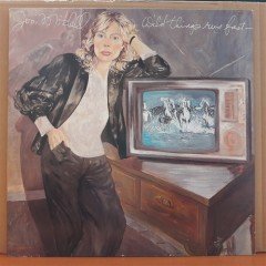 JONI MITCHELL - WILD THINGS RUN FAST (1982) - PLAK 2.EL