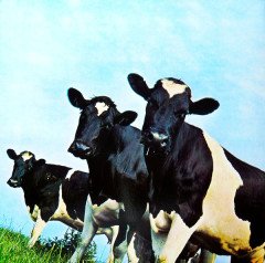 PINK FLOYD - ATOM HEART MOTHER (1970) - LP 180GR 2016 GATEFOLD EDITION SIFIR PLAK