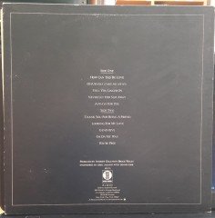ANDREW GOLD - ALL THIS AND HEAVEN TOO (1978) - 2.EL PLAK