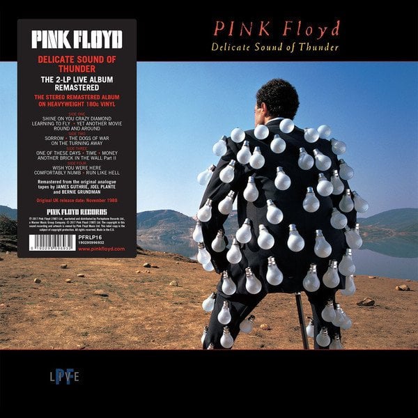 PINK FLOYD - DELICATE SOUND OF THUNDER (1988) - 2LP 180GR GATEFOLD 2017 EDITION SIFIR PLAK