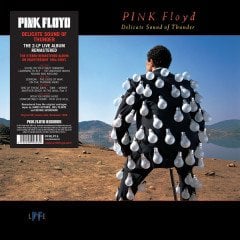 PINK FLOYD - DELICATE SOUND OF THUNDER (1988) - 2LP 180GR GATEFOLD 2017 EDITION SIFIR PLAK