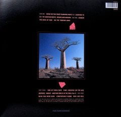 PINK FLOYD - DELICATE SOUND OF THUNDER (1988) - 2LP 180GR GATEFOLD 2017 EDITION SIFIR PLAK