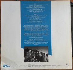AVANTGARDEN PARTY - INTO THE BLUE (1989) - PLAK 2.EL