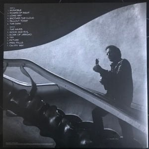 EDDIE VEDDER - EARTHLING (2022) - LP GATEFOLD SIFIR PLAK