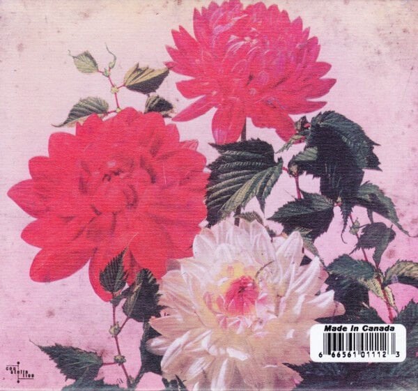 GODSPEED YOU! BLACK EMPEROR – ASUNDER, SWEET AND OTHER DISTRESS (2015) - CD DIGISLEEVE AMBALAJINDA SIFIR