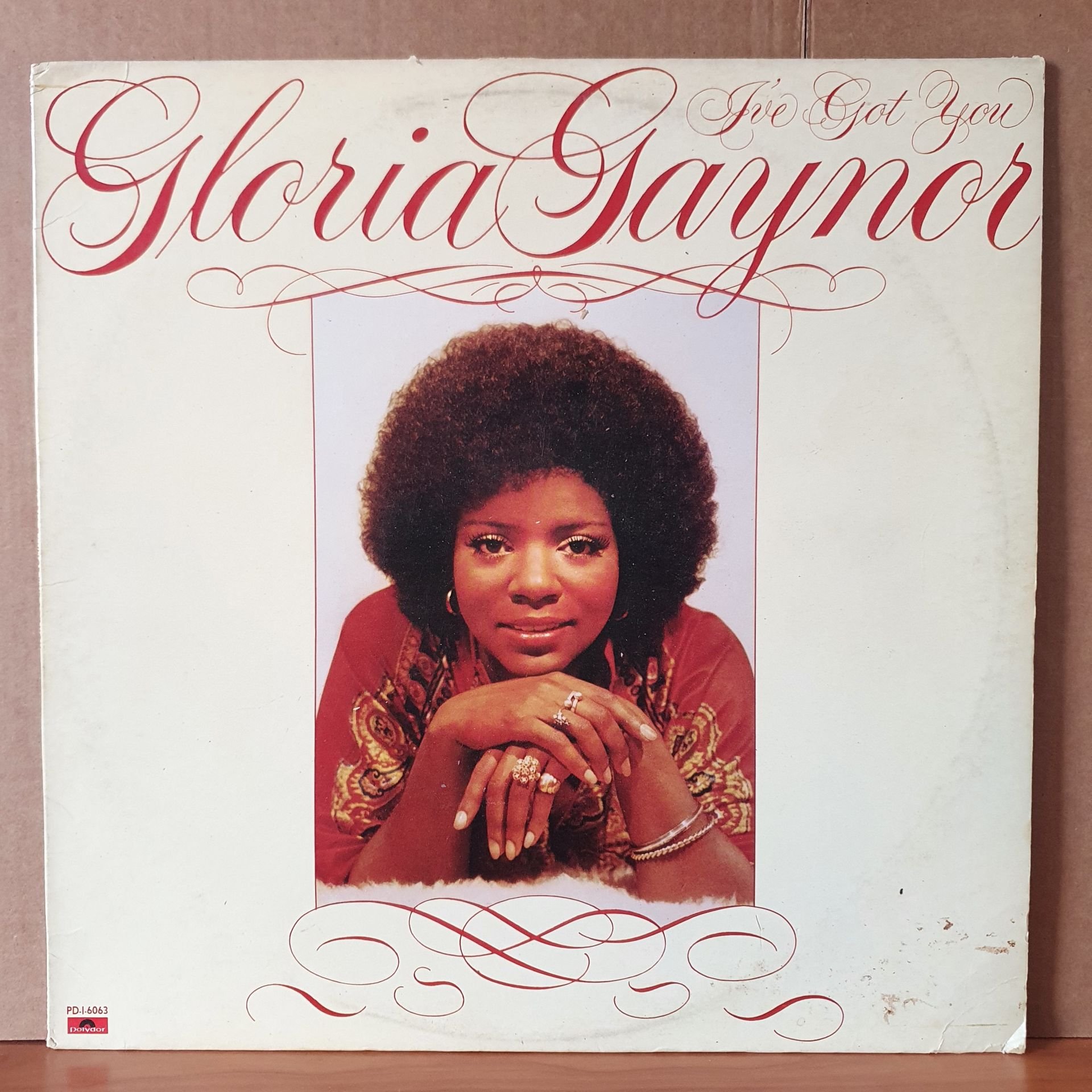 GLORIA GAYNOR - I'VE GOT YOU (1976) - LP 2.EL PLAK