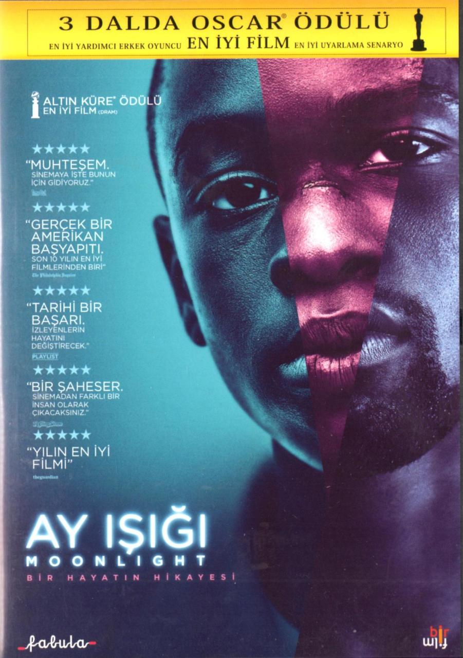 AY IŞIĞI - MOONLIGHT - BARRY JENKINS - DVD 2.EL