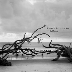 REVERIE FALLS ON ALL - REBLOOM LP 2015 SIFIR