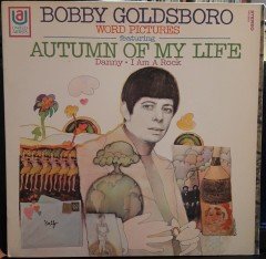 BOBBY GOLDSBORO - WORD PICTURES - 2.EL PLAK