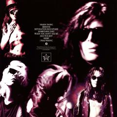 SISTERS OF MERCY - VISION THING (1990) - SIFIR PLAK