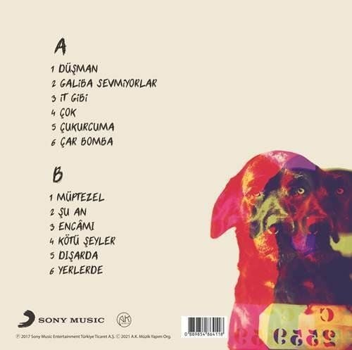 SON FECİ BİSİKLET - KÖTÜ ŞEYLER + (2017)  - LP 2024 BASIM SIFIR PLAK