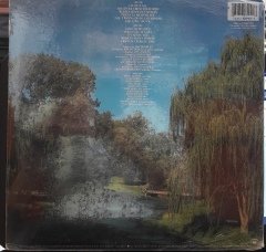RAY CHARLES - DO I EVER CROSS YOUR MIND (1984) - PLAK SIFIR