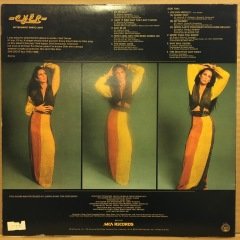 CHÉR - BITTERSWEET WHITE LIGHT (1973) 2.EL PLAK