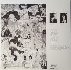 TECHNICAL SPACE COMPOSER'S CREW (HOLGER CZUKAY (CAN)) - CANAXIS 5 (1969) - PLAK SIFIR