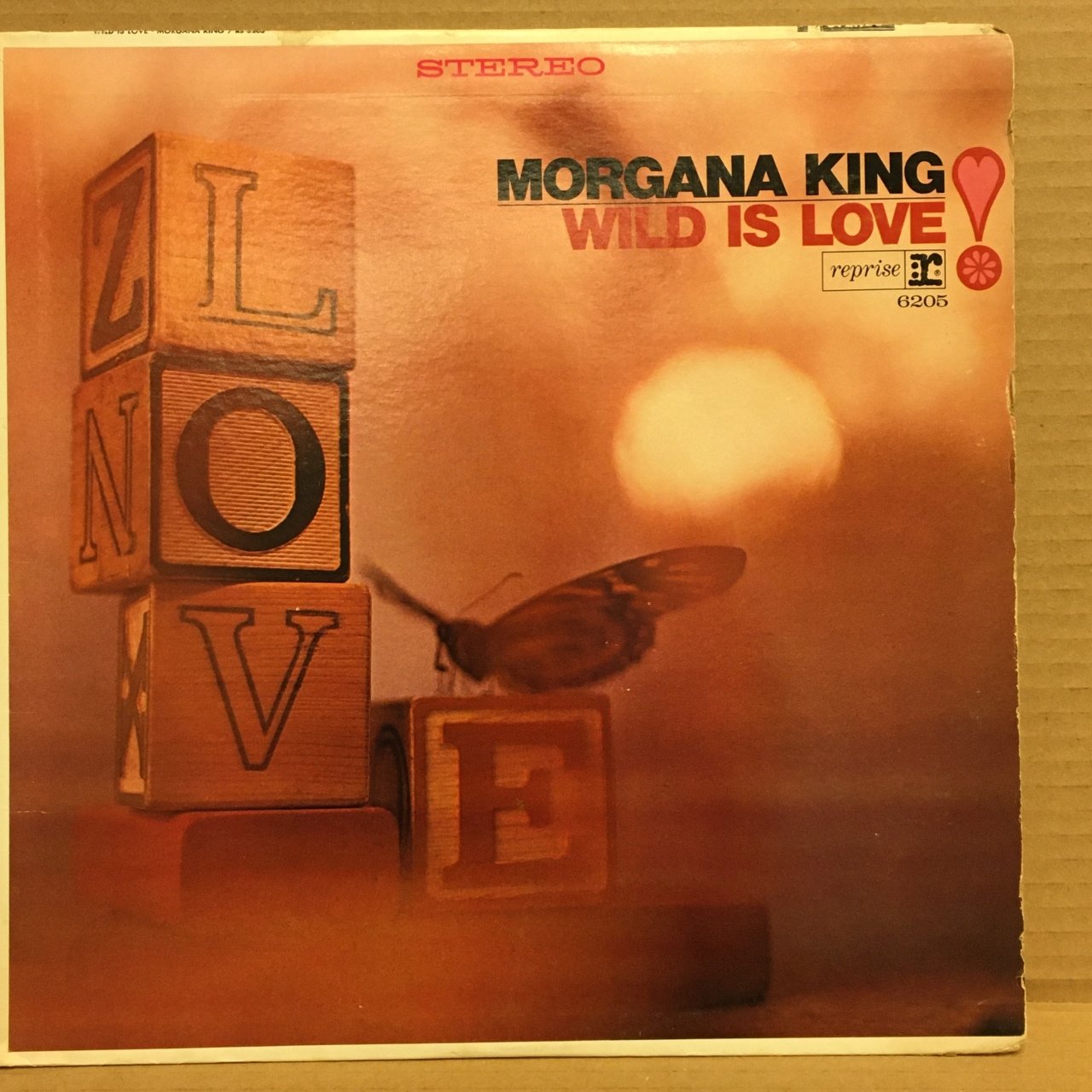 MORGANA KING - WILD IS LOVE 2.EL PLAK