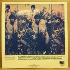 STRAWBS - STRAWBS (1969) 2014 LIM.ED. 180 GR. 2.EL PLAK