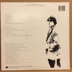ROGER POWELL - AIR POCKET 1980 2.EL PLAK