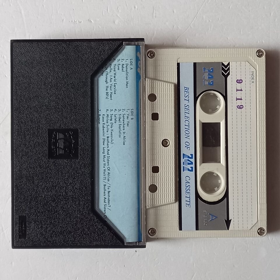 MANFRED MANN'S EARTH BAND - SOMEWHERE IN AFRIKA - KASET 2.EL