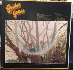 GRASS ROOTS - GOLDEN GRASS THEIR GREATEST HITS (1972) - PLAK 2.EL