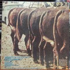 NITTY GRITTY DIRT BAND - PLAIN DIRT FASHION (1984) - PLAK 2.EL