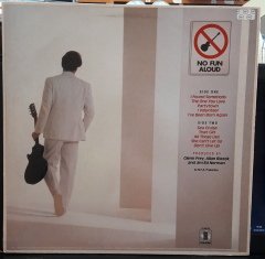 GLENN FREY - NO FUN ALOUD (1982) - PLAK 2.EL