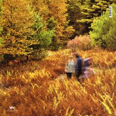 YO LA TENGO - THERE'S A RIOT GOING ON (2018) - 2PLAK SIFIR