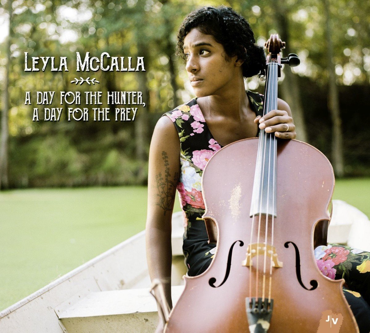 LEYLA MCCALLA - A DAY FOR THE HUNTER...(2016) LP 180GR SIFIR