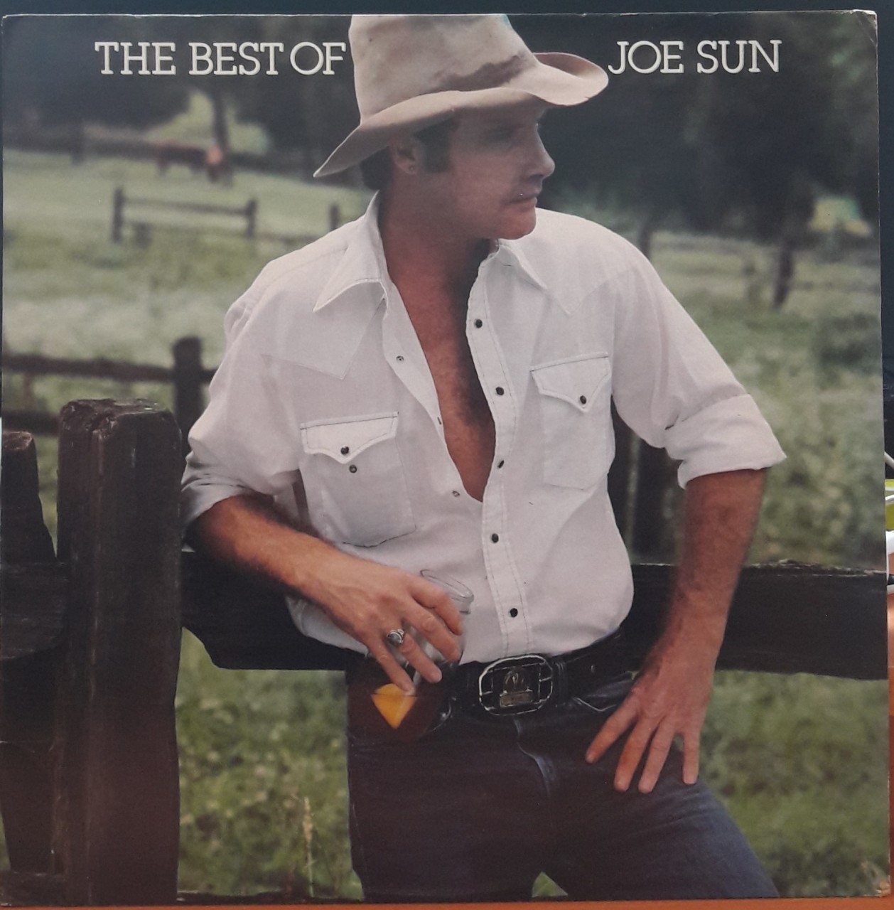 JOE SUN - THE BEST OF (1982) - PLAK 2.EL