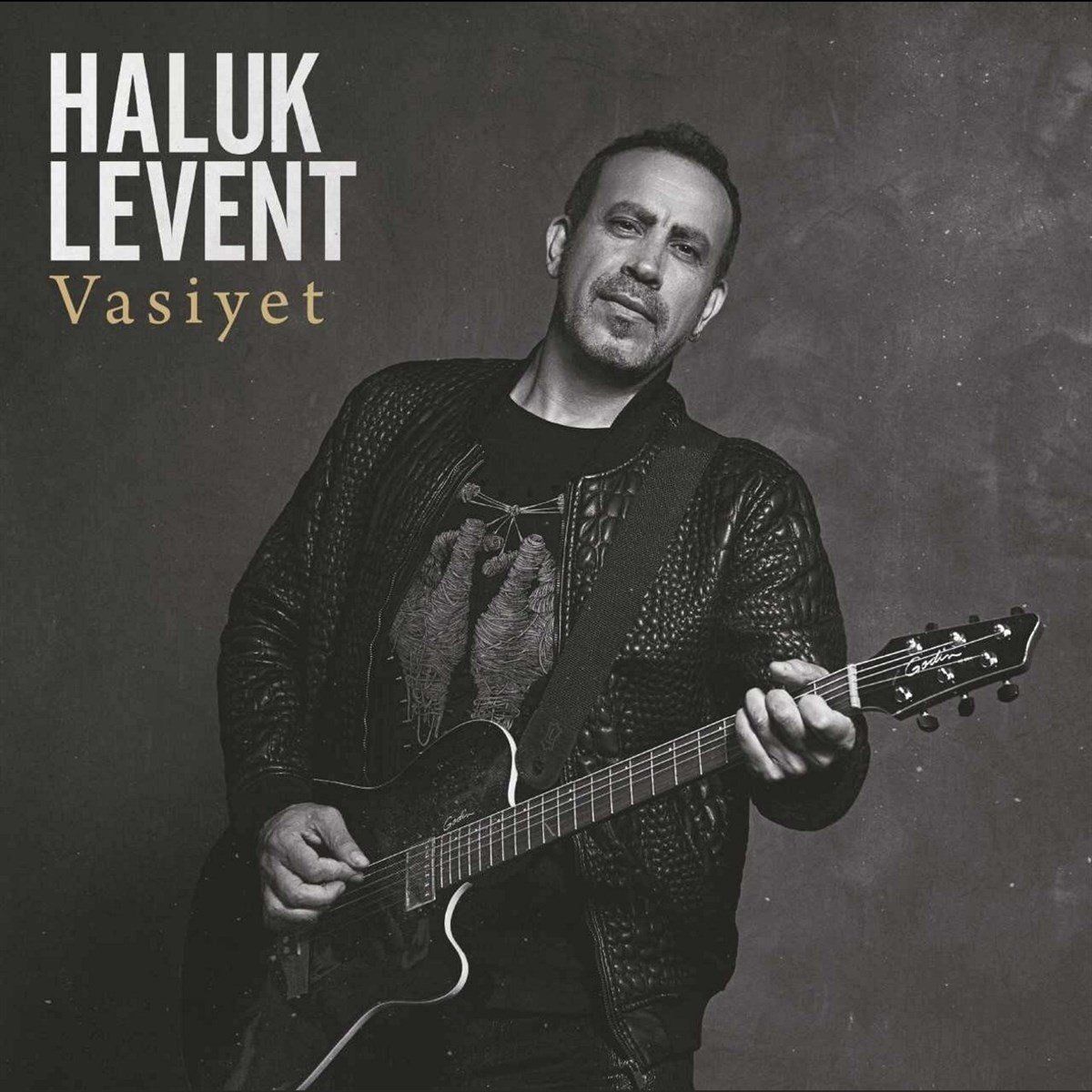 HALUK LEVENT - VASİYET (2021) - 2LP 2025 BASIM SIFIR PLAK