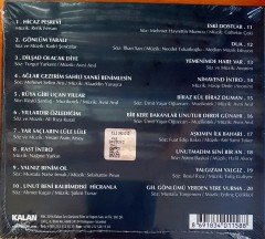 PROF. DR. ALİ RIZA KURAL - SEVDİKLERİMİN SEVDİKLERİ (2016) CD SIFIR