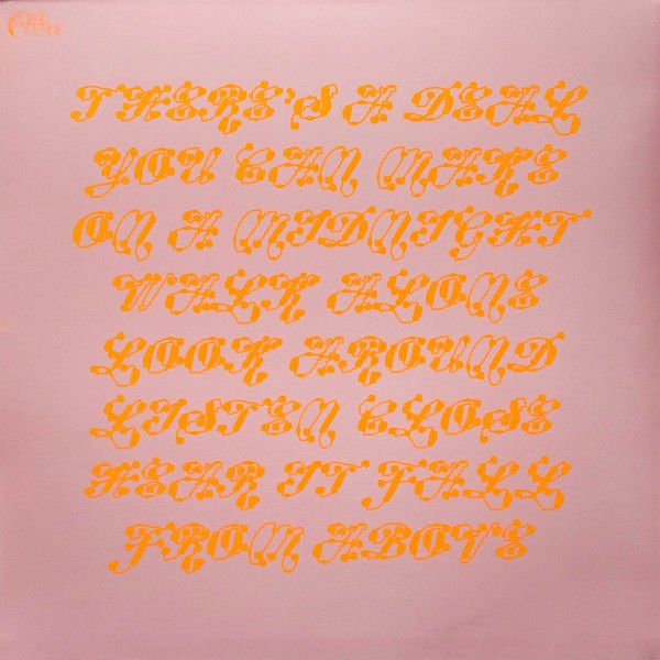MITSKI – THE LAND IS INHOSPITABLE AND SO ARE WE (2023) - LP LIMITED EDITION DIE CUT SLEEVE & ROBIN'S EGG BLUE VINYL SIFIR PLAK