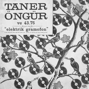 TANER ÖNGÜR VE 43.75 ELEKTRİK GRAMOFON (2017) LP SIFIR PLAK