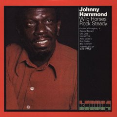 JOHNNY ''HAMMOND'' SMITH - WILD HORSES ROCK STEADY (1972) - PLAK SIFIR