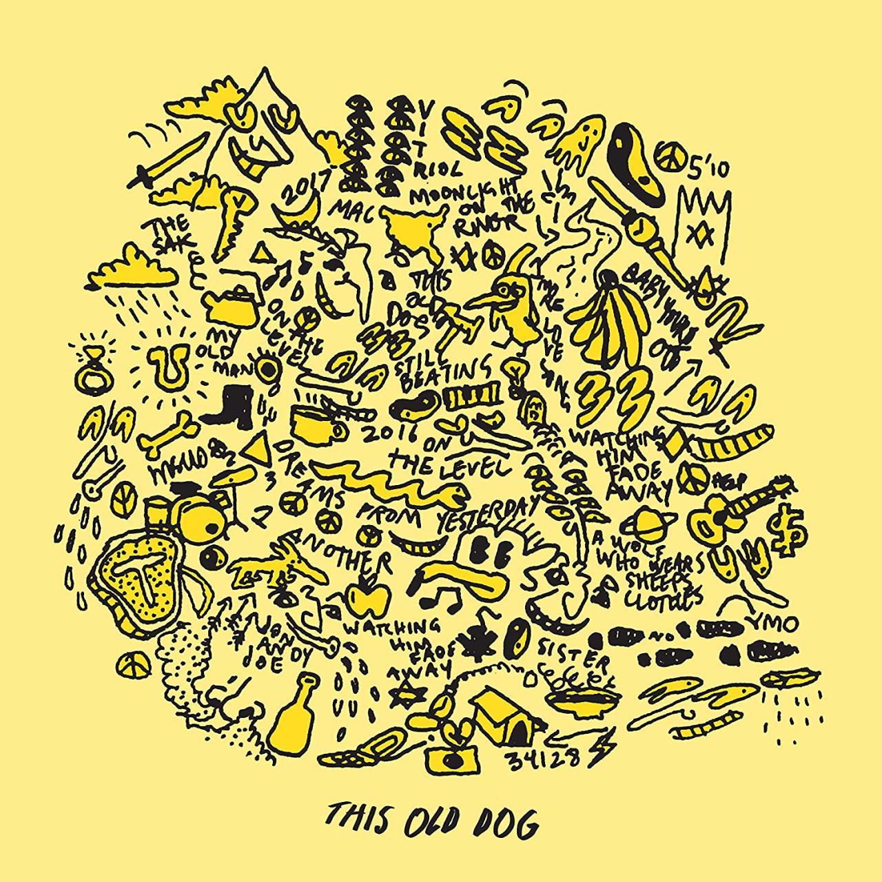 MAC DEMARCO - THIS OLD DOG (2017) - LP INDIE ROCK GATEFOLD SIFIR PLAK