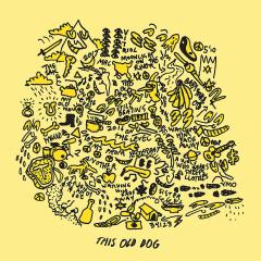 MAC DEMARCO - THIS OLD DOG (2017) - LP INDIE ROCK GATEFOLD SIFIR PLAK